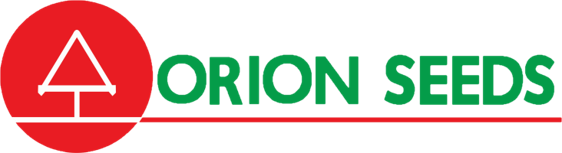 Logo Orion VT PNG