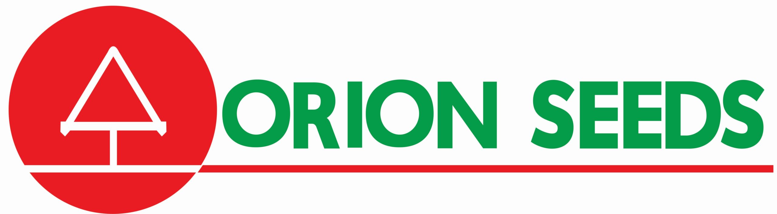 Logo Orion Vetorizada